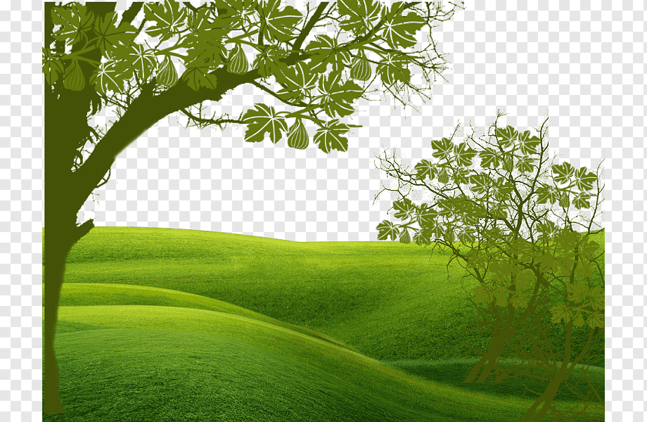 Green Euclidean, Under The Shade Of Green Fields, Landscape, - Holy Family Catholic Church , HD Wallpaper & Backgrounds
