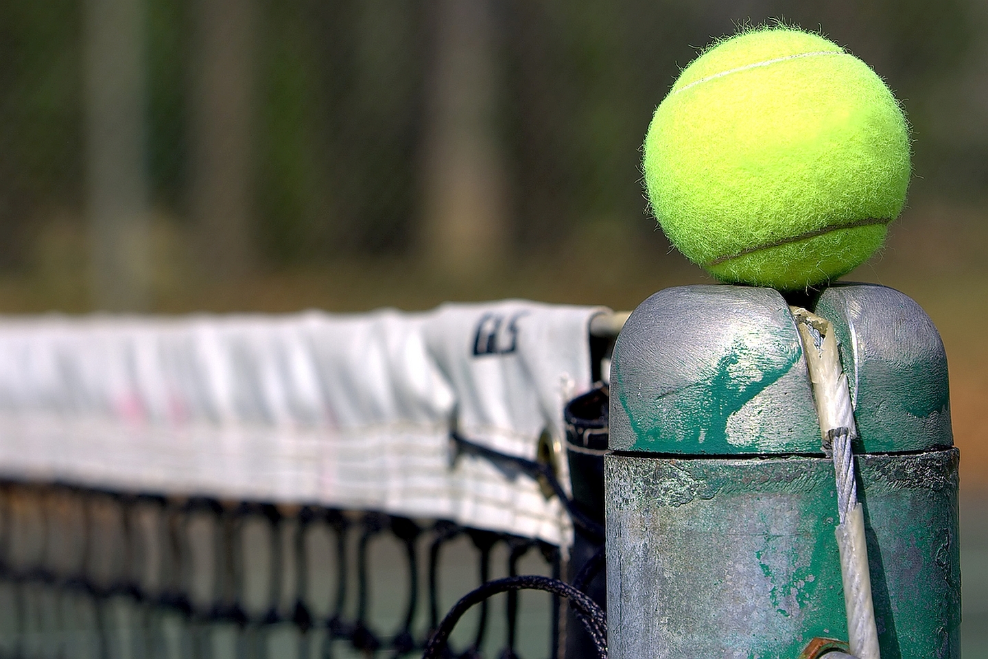 Tennis Ball And Racket , HD Wallpaper & Backgrounds