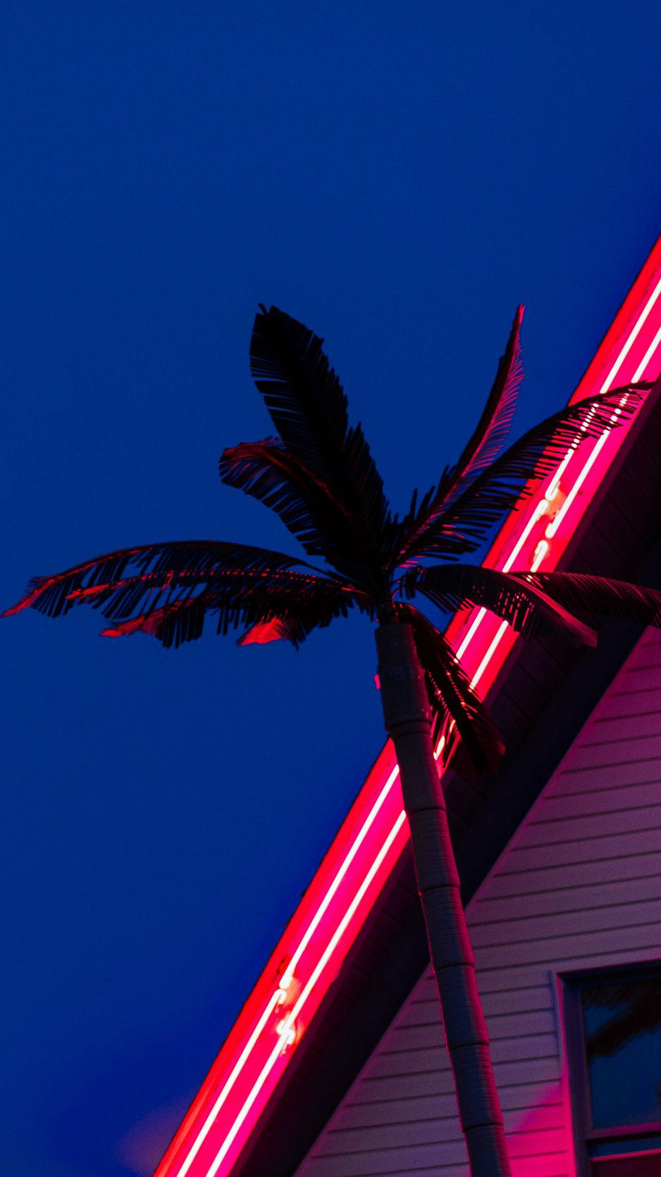 Wallpaper Palm, Roof, Neon, Backlight, Red - Red Neon Wallpaper Iphone , HD Wallpaper & Backgrounds
