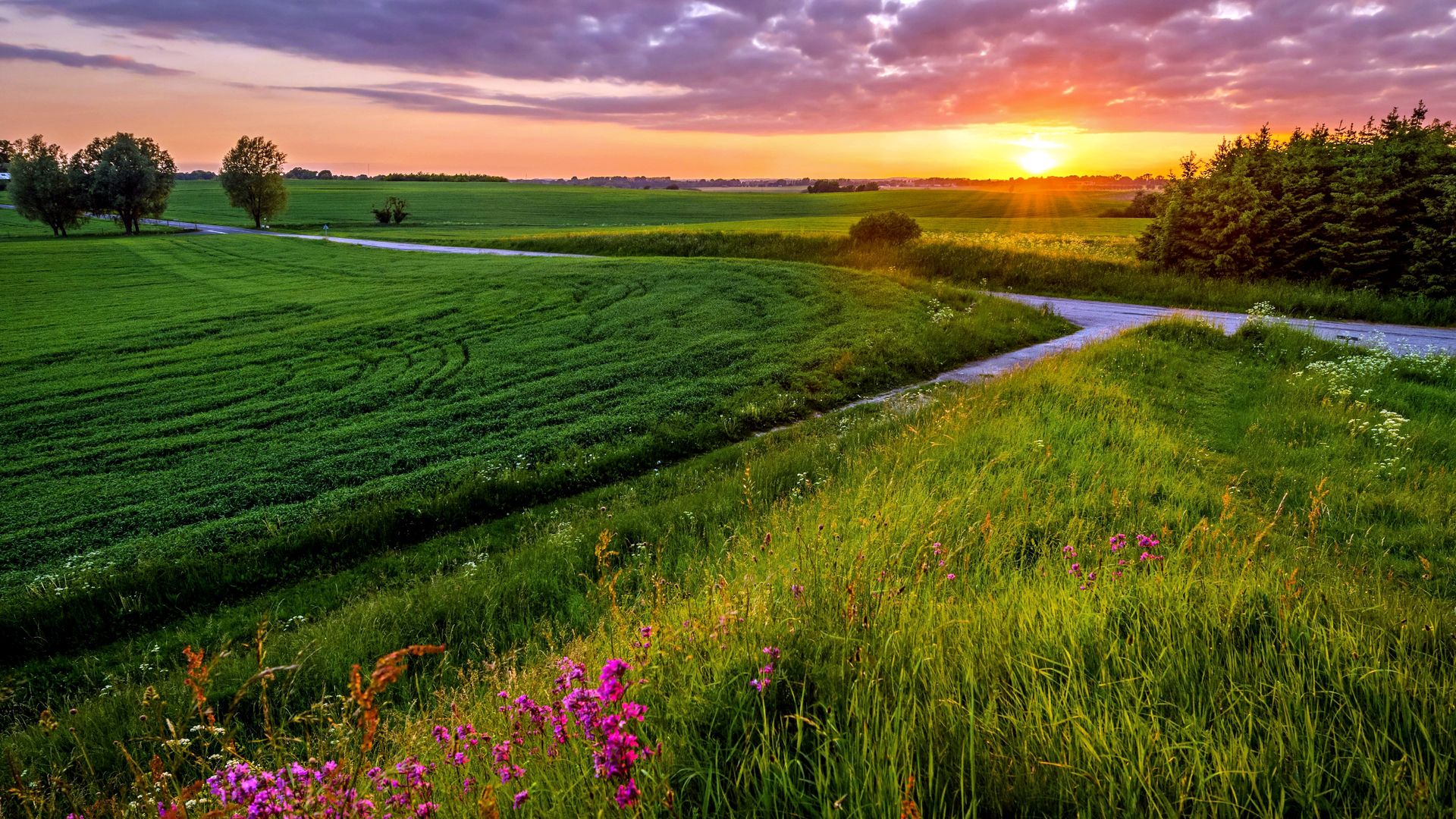 Meadow Fields , HD Wallpaper & Backgrounds