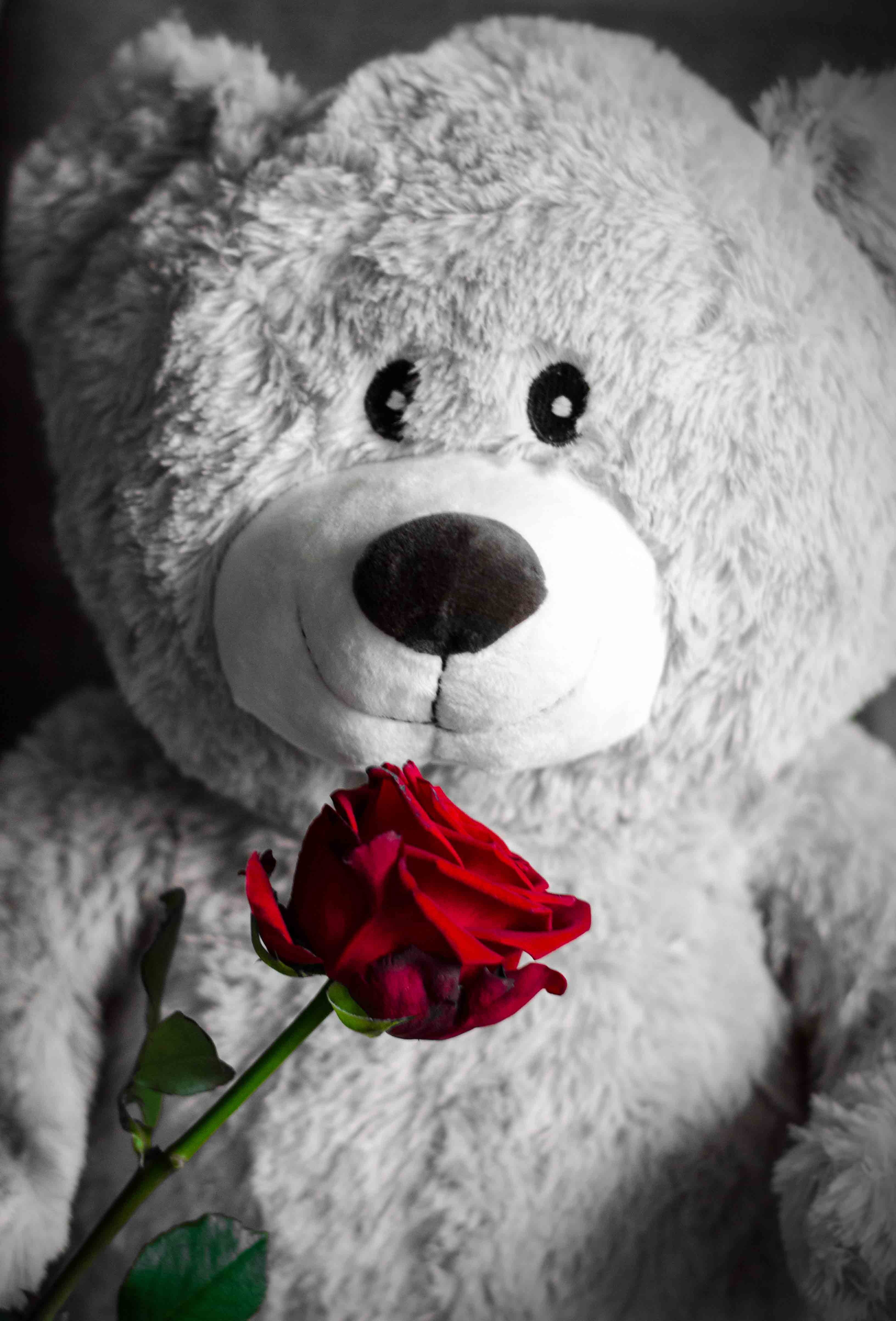 Love Wallpaper Teddy Bear , HD Wallpaper & Backgrounds