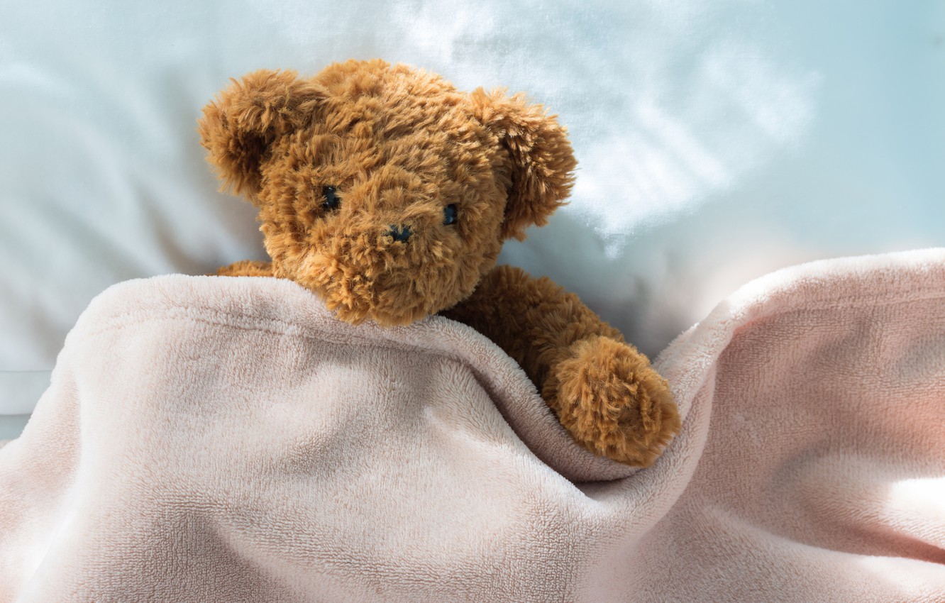Photo Wallpaper Toy, Bear, Bear, Bear, Teddy, Bed, - Buenas Noches Con Tomate , HD Wallpaper & Backgrounds