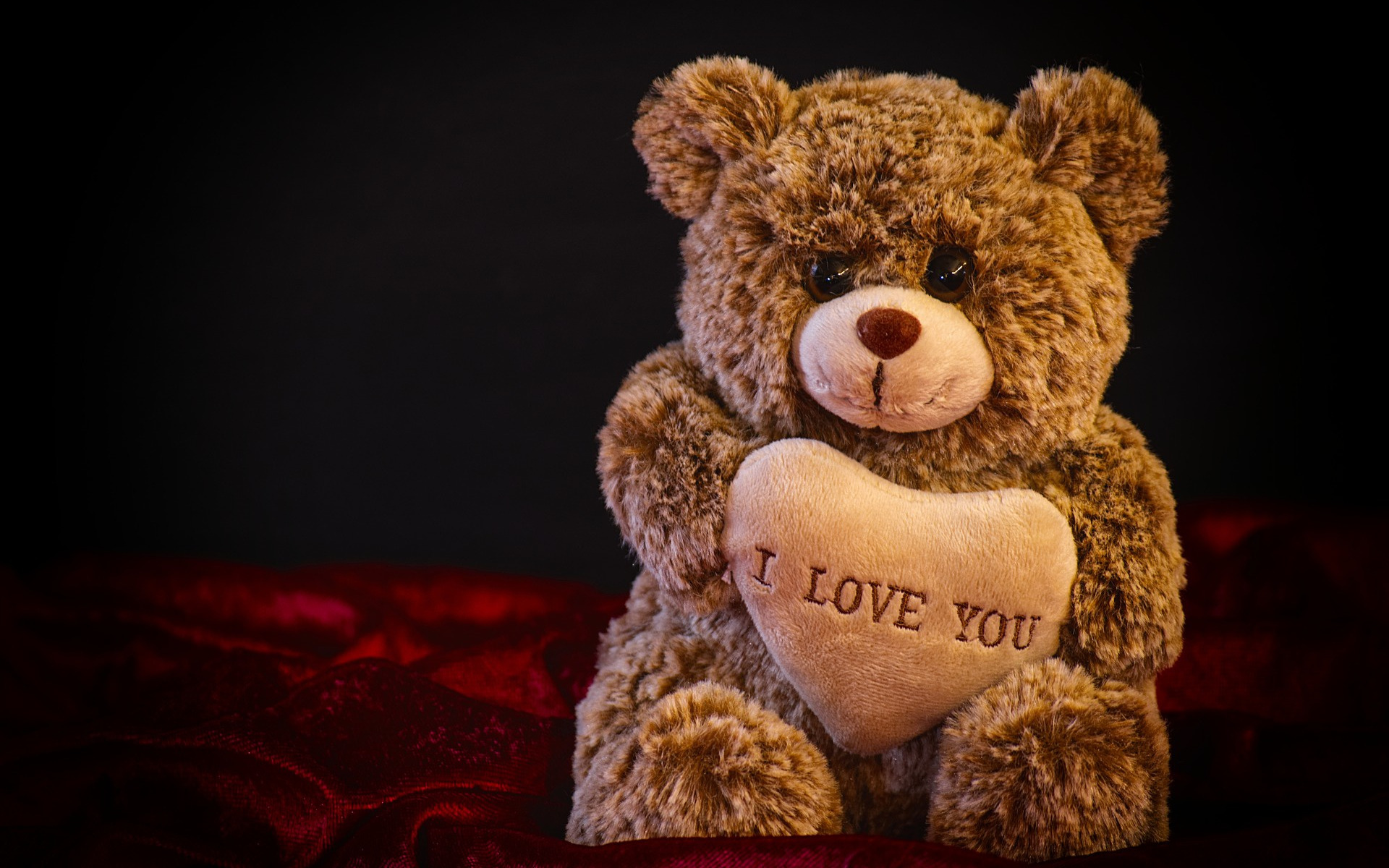 Valentine Teddy Bear Best Wallpaper - Happy Teddy Day 2020 , HD Wallpaper & Backgrounds