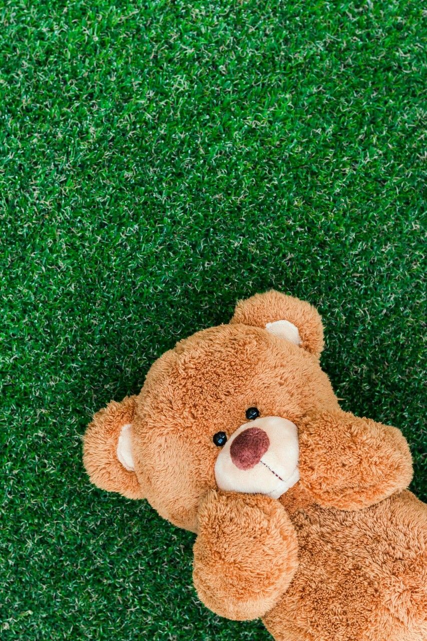 Cute Teddy Bear Background , HD Wallpaper & Backgrounds