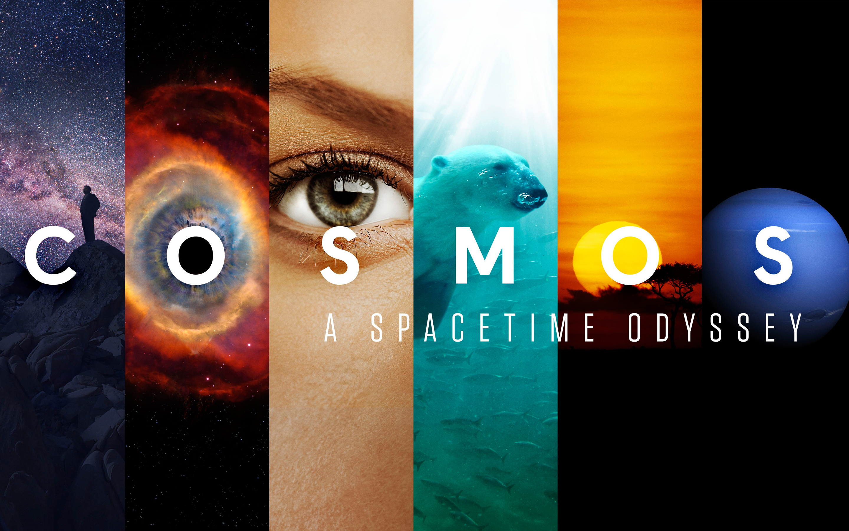 Cosmos A Spacetime Odyssey Wallpaper Hd , HD Wallpaper & Backgrounds