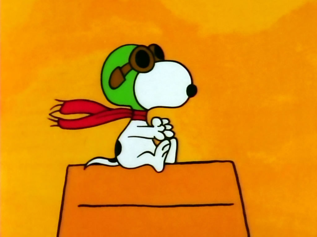 Snoopy Flying Ace Wallpaper-8co6x6u - Snoopy Dog House Airplane , HD Wallpaper & Backgrounds