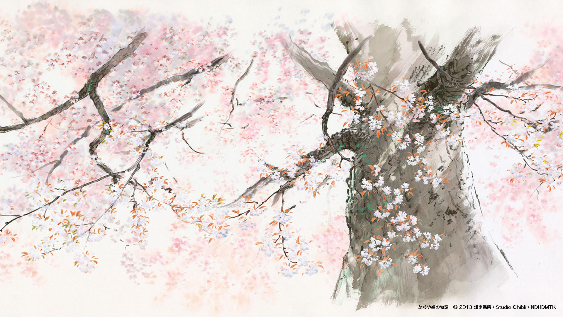 Studio Ghibli Zoom Backgrounds , HD Wallpaper & Backgrounds