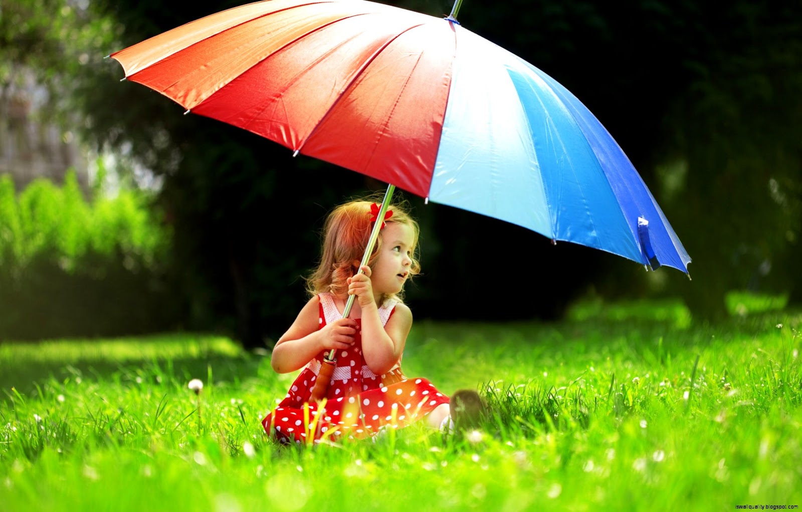Cute Girl With Umbrella , HD Wallpaper & Backgrounds