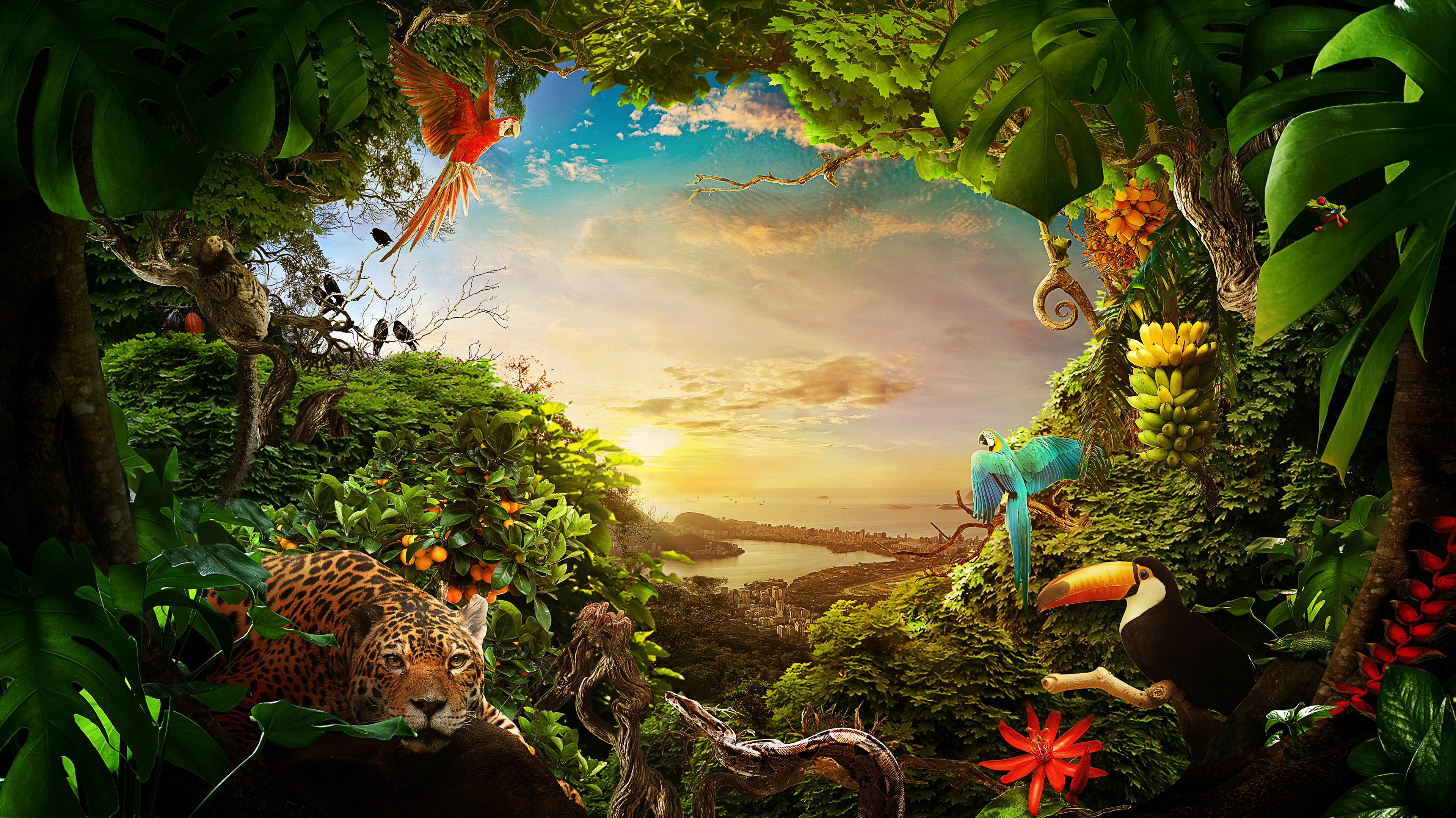 Nature Of Brazil , HD Wallpaper & Backgrounds