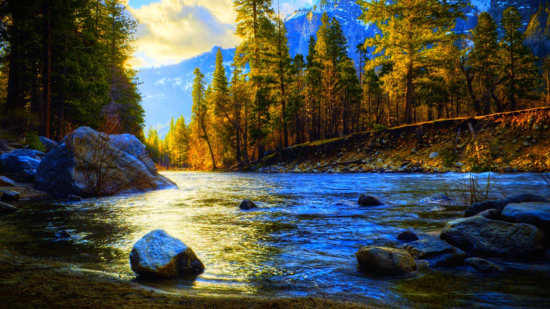 Forest Background River , HD Wallpaper & Backgrounds