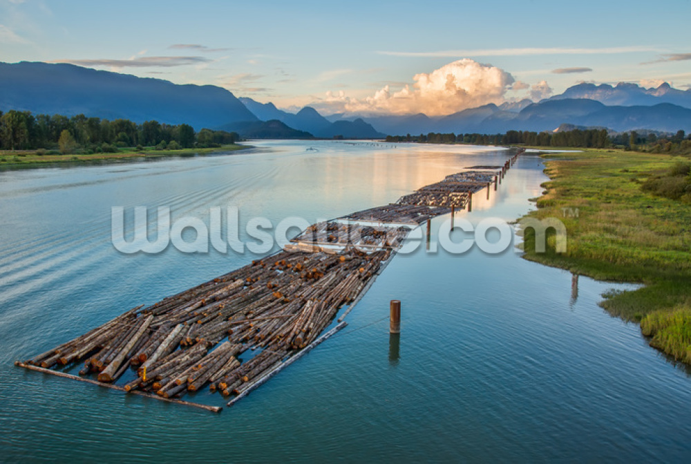 Logs On The River Mural Wallpaper - Logging Pile In The River , HD Wallpaper & Backgrounds