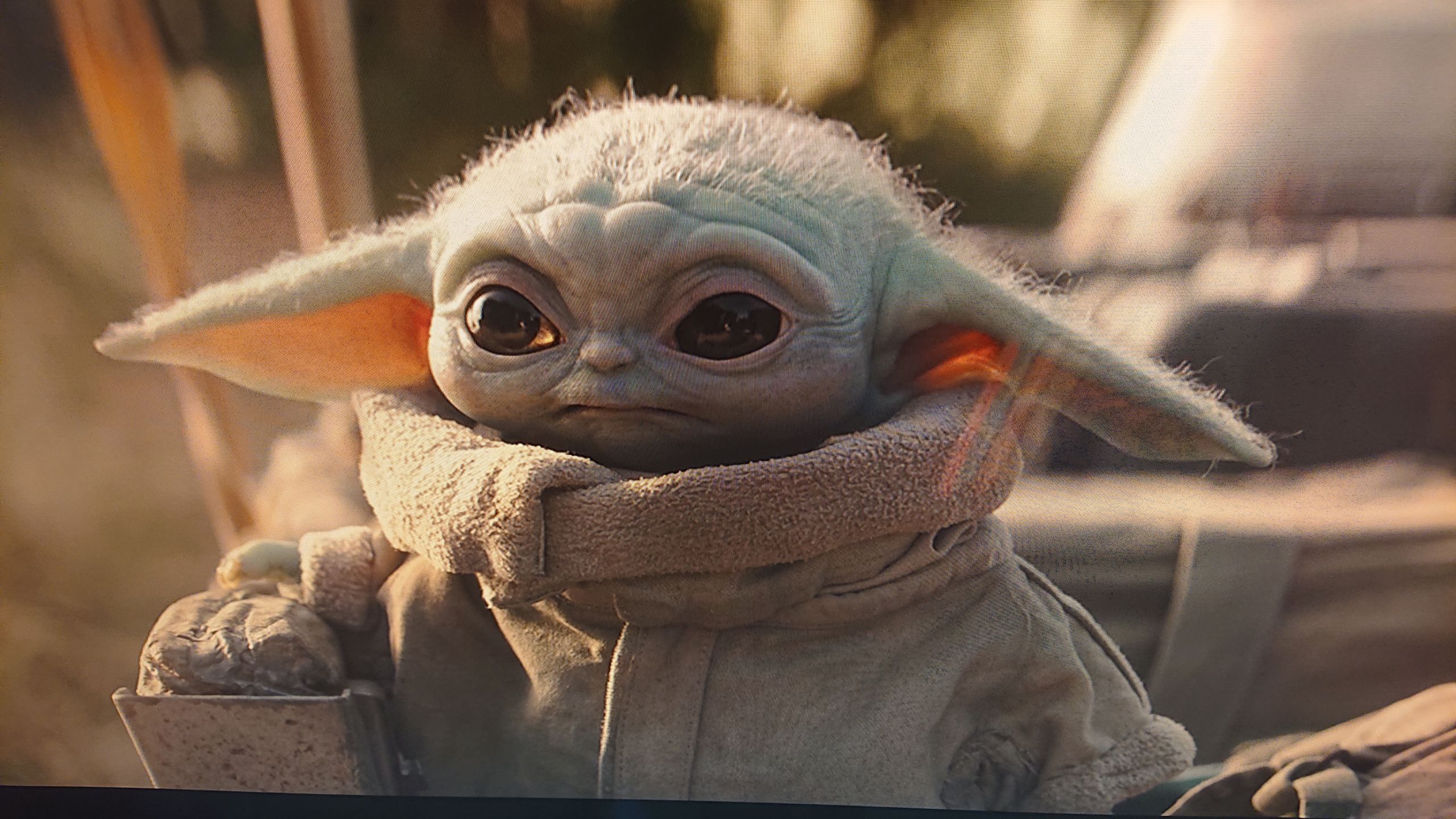 Baby Yoda Meme Template , HD Wallpaper & Backgrounds