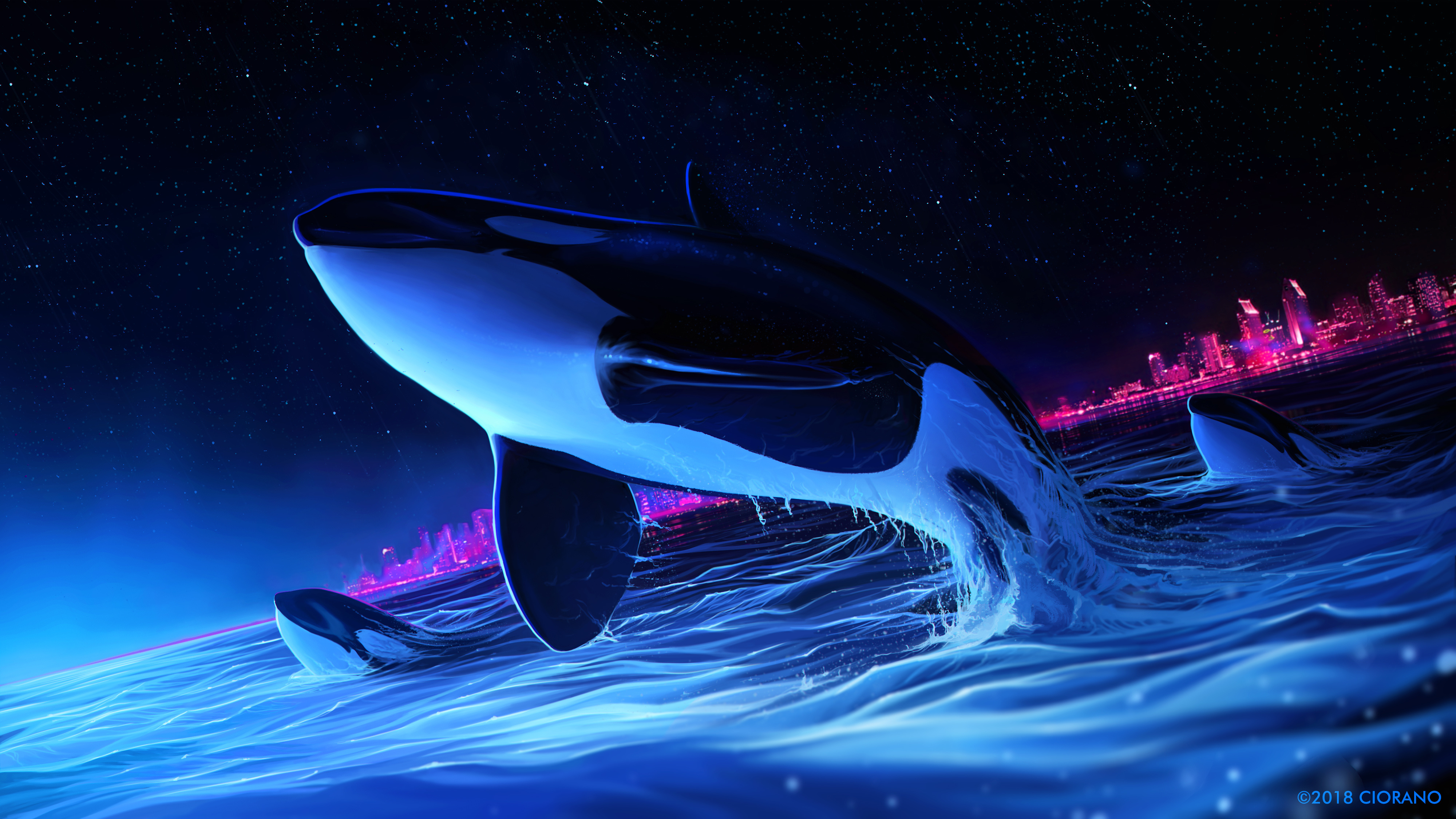 Dolphin, Night, Orca, Whale, Digital Art - Killer Whale Wallpaper 4k , HD Wallpaper & Backgrounds