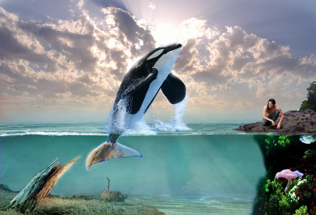 Dolphin 3d Art Orca Whale Ocean Fantasy Creative Wallpaper - Fantasy Castle , HD Wallpaper & Backgrounds