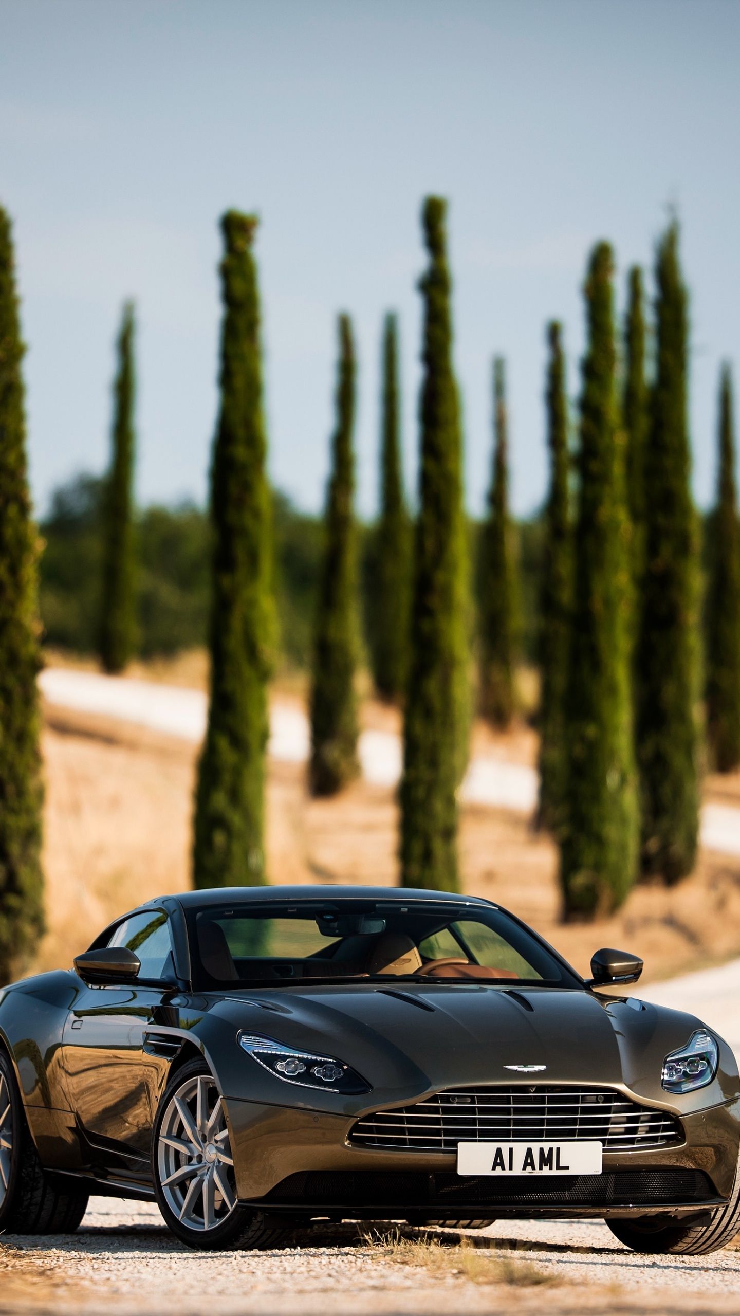 Aston Martin Db11 Topspeed , HD Wallpaper & Backgrounds