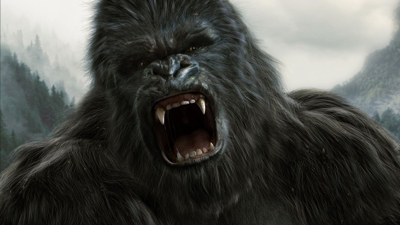 Kong Vs Godzilla Trailer , HD Wallpaper & Backgrounds