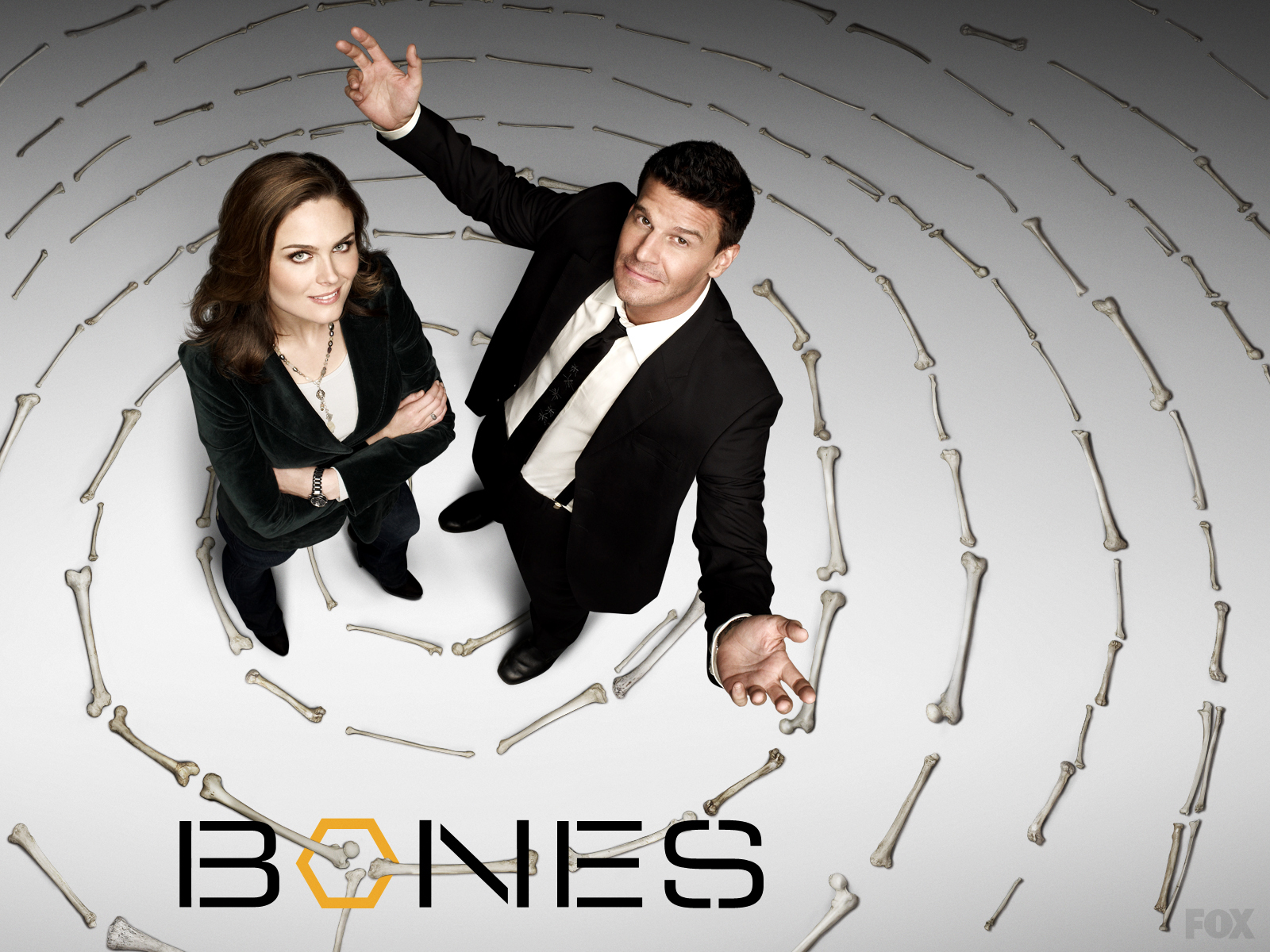 Nice Wallpapers Bones 1600x1200px - Bones Season 6 Episode 17 The Feet , HD Wallpaper & Backgrounds