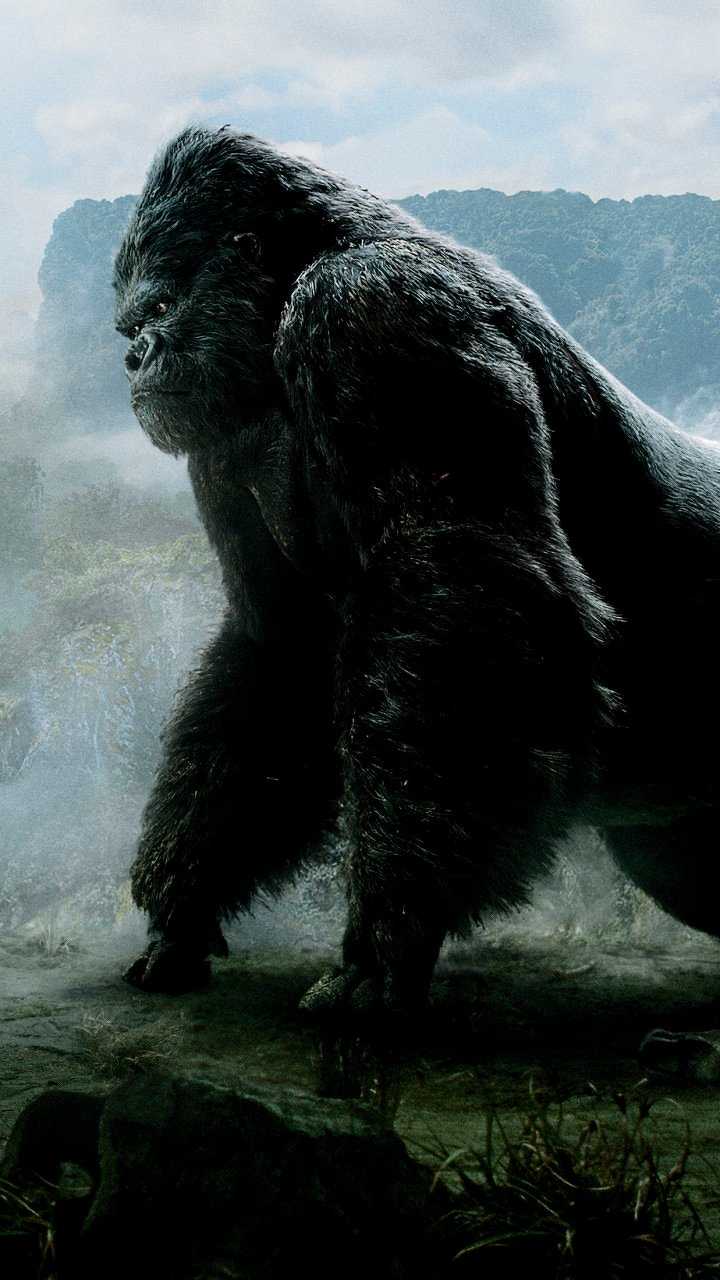 King Kong , HD Wallpaper & Backgrounds