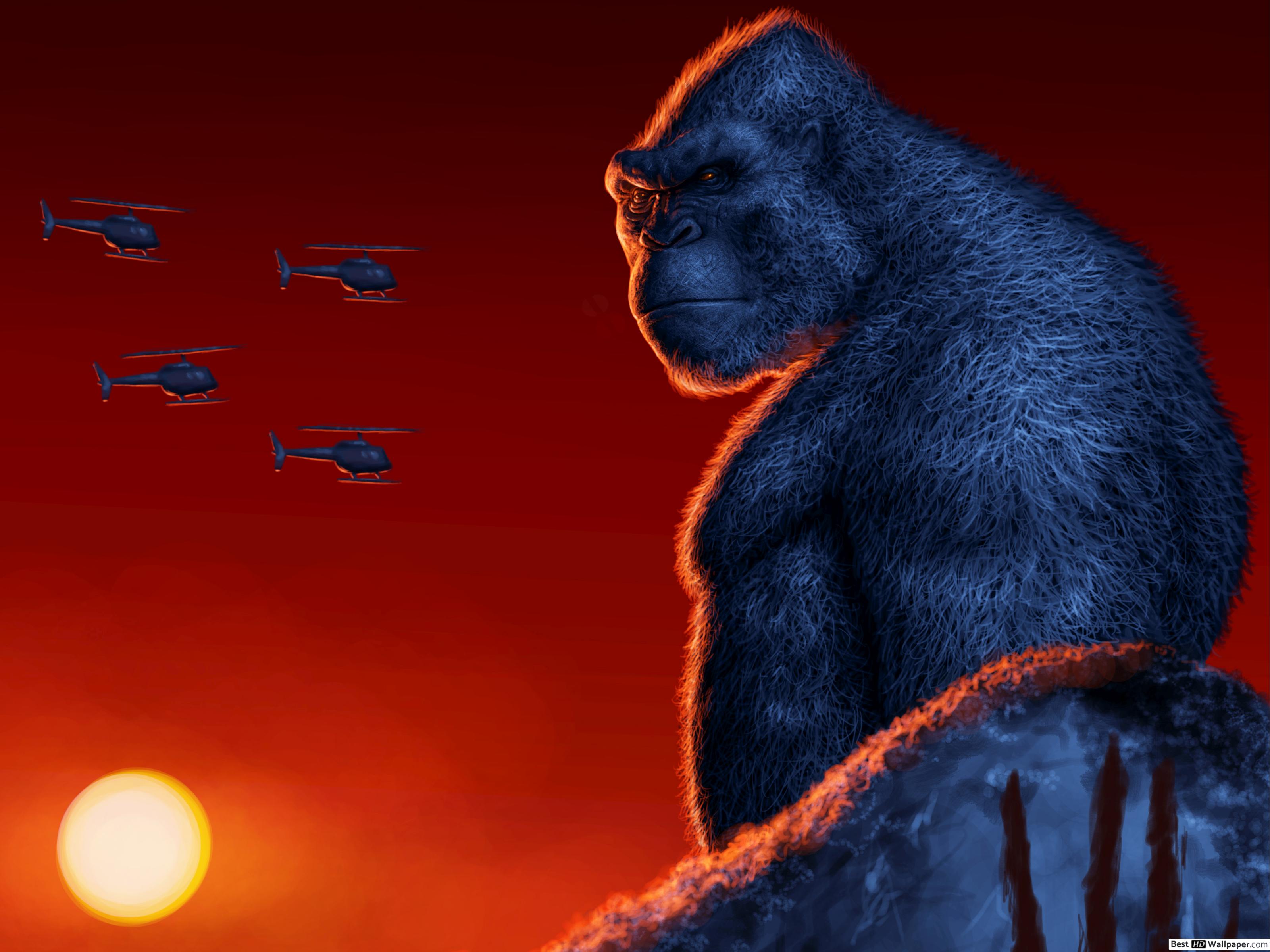 Kong , HD Wallpaper & Backgrounds