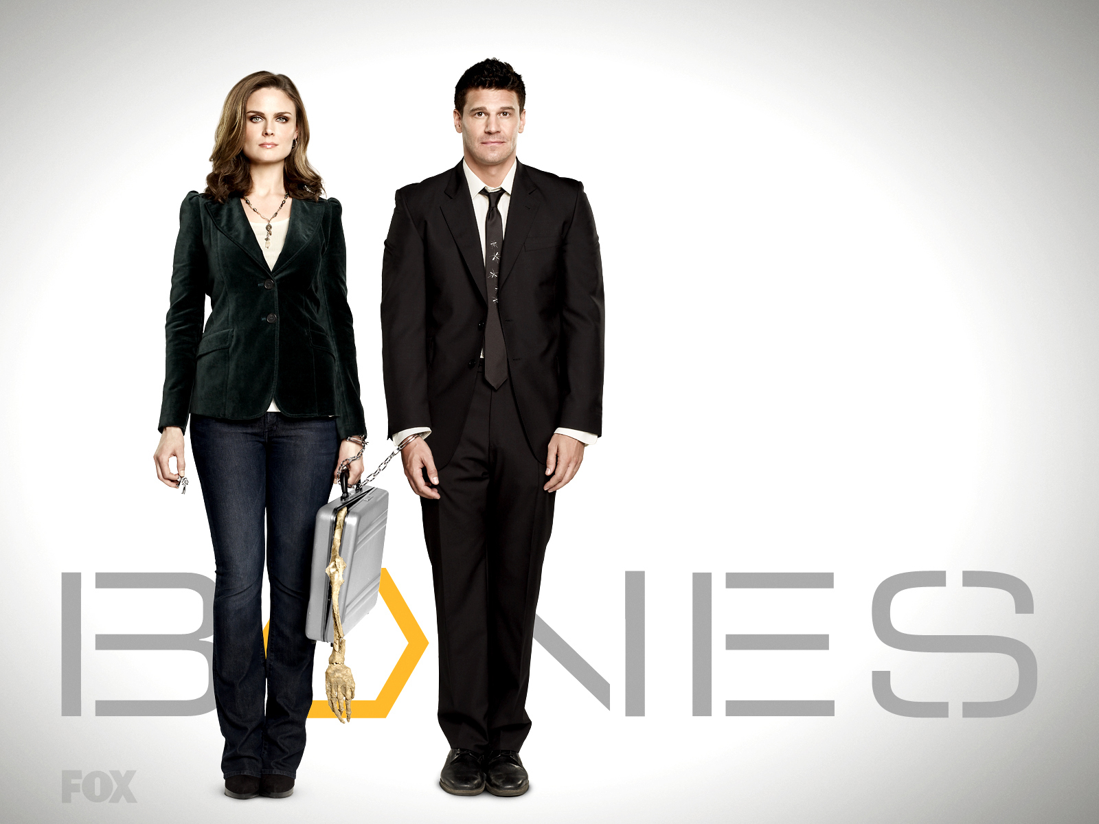 Booth And Brennan Wallpapers - Bones Tv , HD Wallpaper & Backgrounds