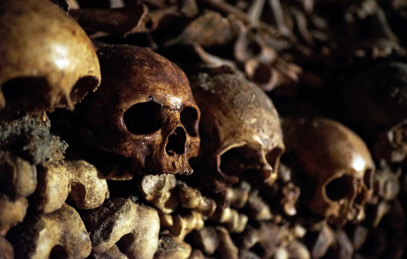 Photo Wallpaper Bones, Skull, Catacombs - Skull , HD Wallpaper & Backgrounds