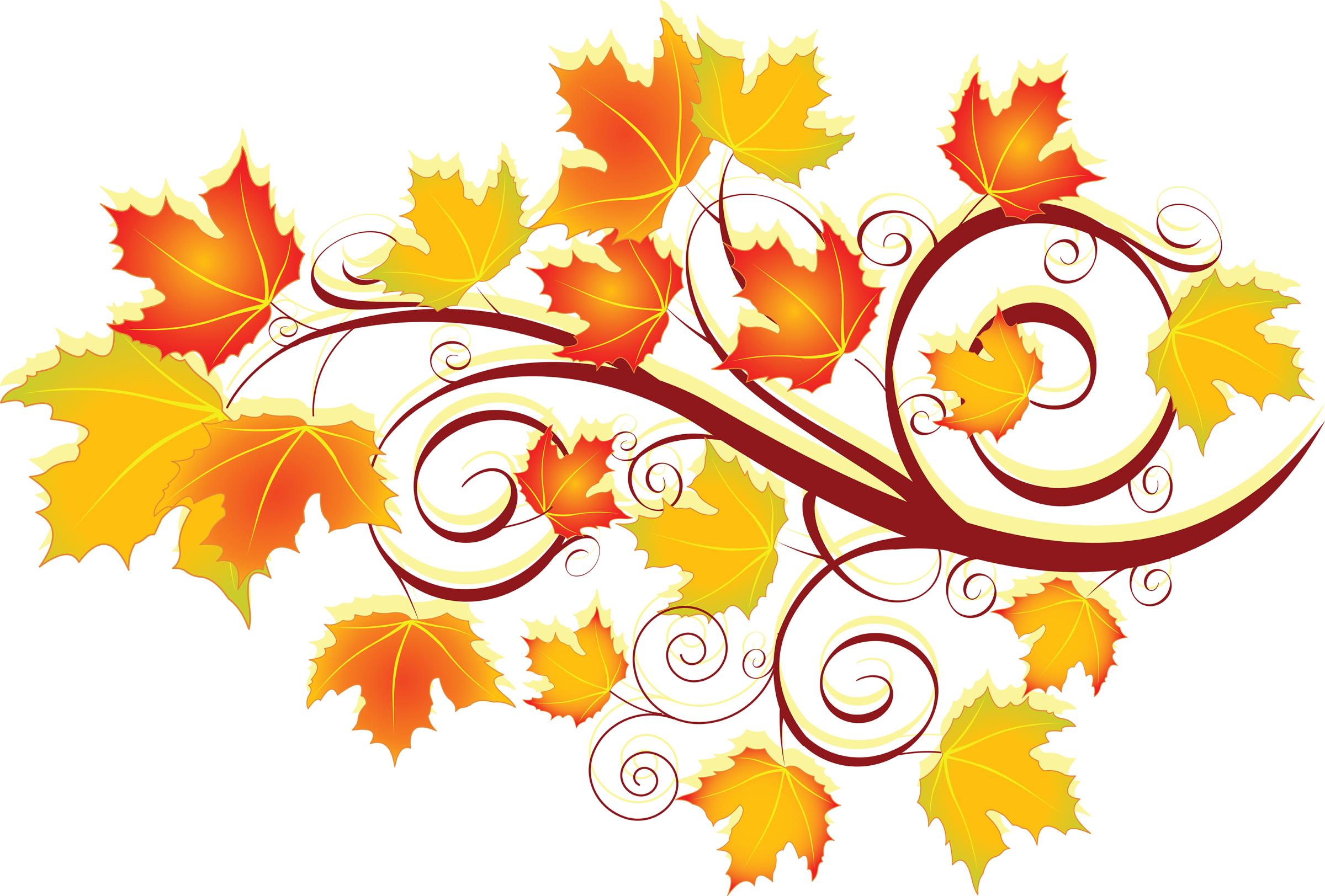 Download Image - Leaves Fall , HD Wallpaper & Backgrounds