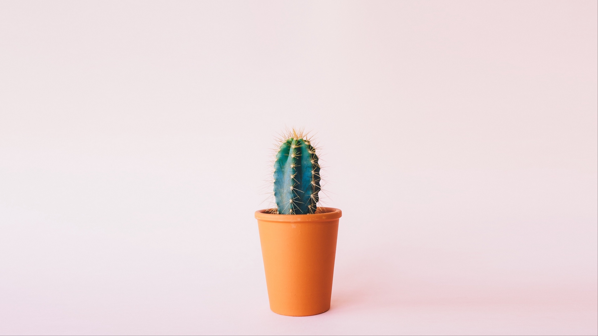 Cactus Minimal Hd Wallpaper - Pastel Minimalist Wallpaper Desktop , HD Wallpaper & Backgrounds