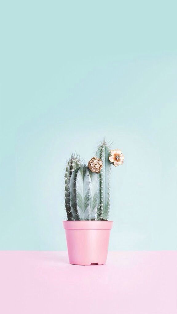 One More Of My Favorite Girly Wallpapers Is This Cute - Pastel Wallpaper Hd For Iphone , HD Wallpaper & Backgrounds