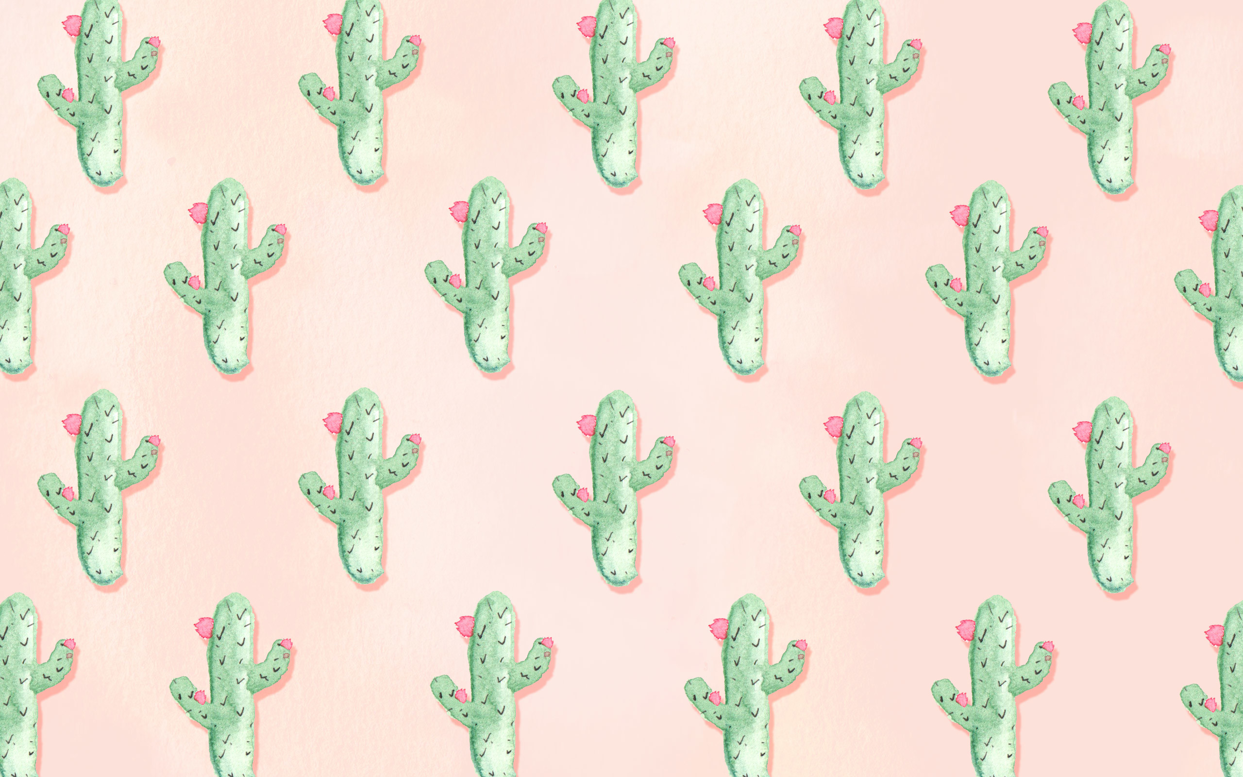 2400x1603, Download Cactus Desktop Wallpaper - Cute Summer Wallpaper Desktop , HD Wallpaper & Backgrounds