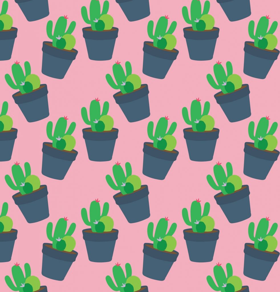 Cactus Wallpaper 52 - Hedgehog Cactus , HD Wallpaper & Backgrounds
