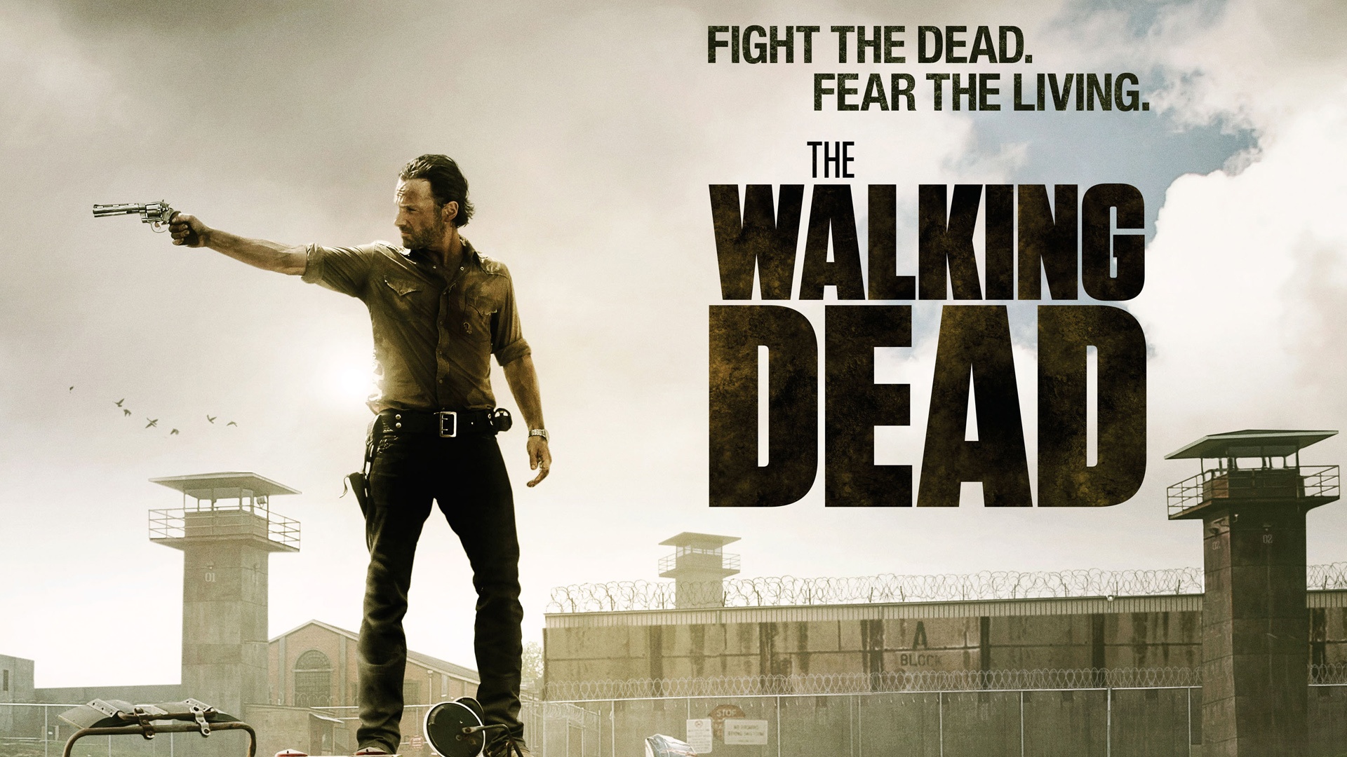 Walking Dead , HD Wallpaper & Backgrounds