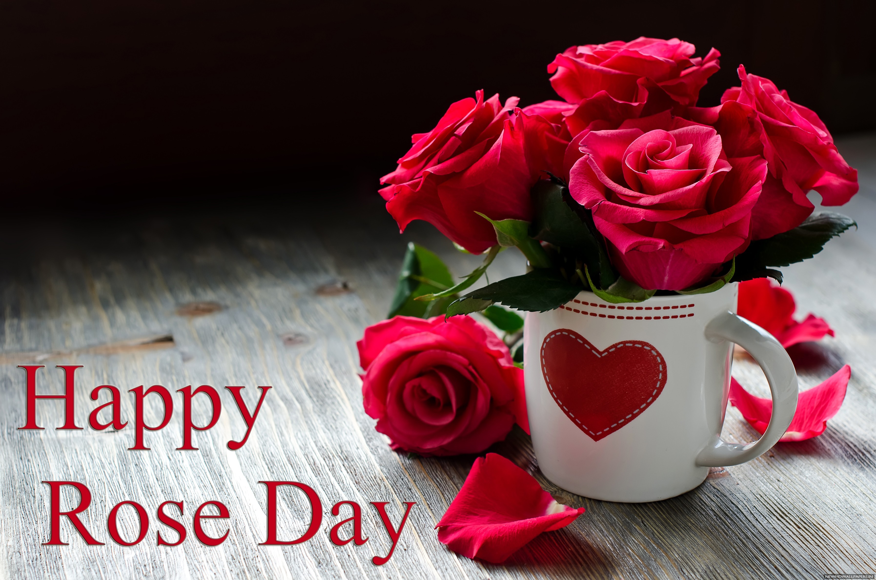 Happy Rose Day Gift Card Wallpaper - Happy Rose Day Whatsapp Dp , HD Wallpaper & Backgrounds