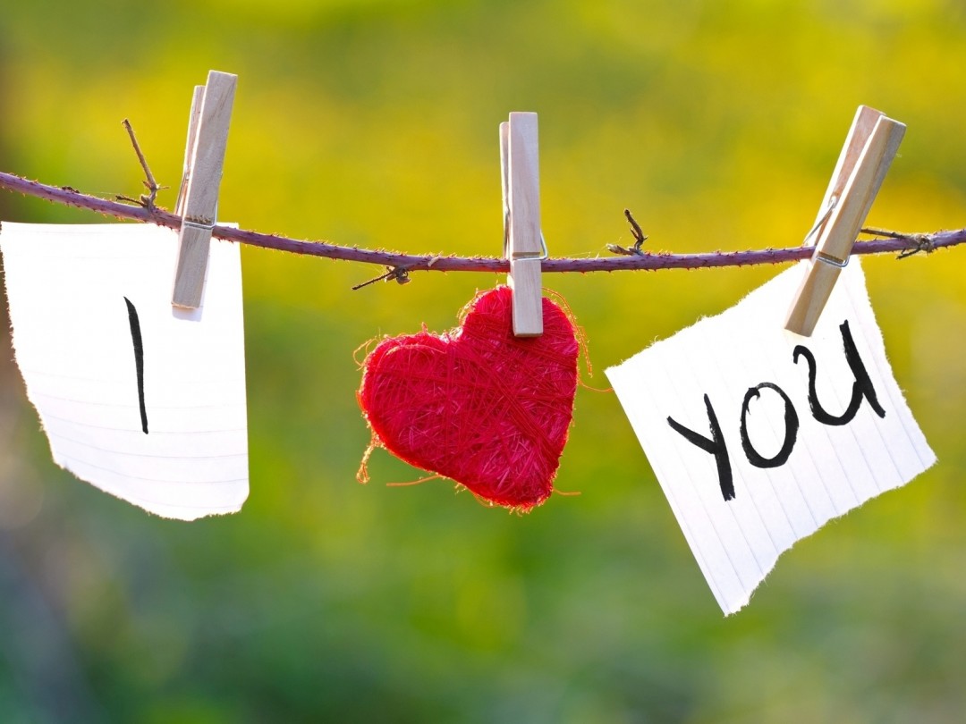 Free Download I Love You Hd Wallpaper - Love You , HD Wallpaper & Backgrounds