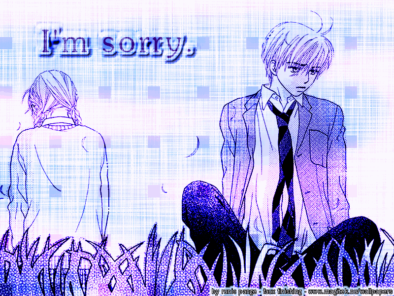 Say Sorry Wallpaper , HD Wallpaper & Backgrounds