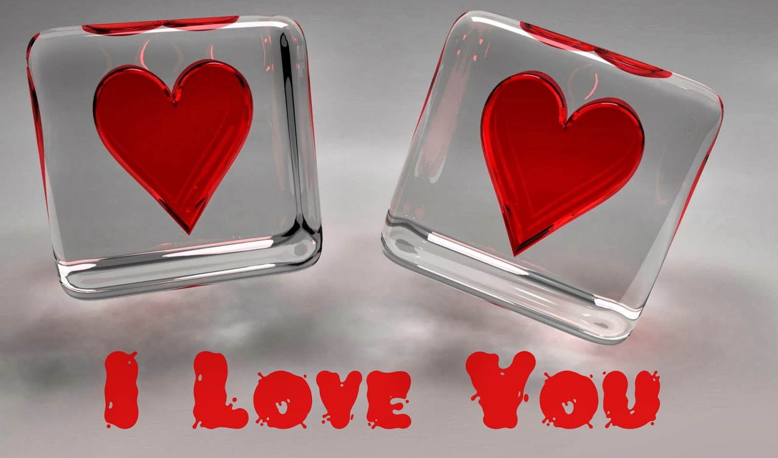 I Love You 5703983 Image For Free Magnificent Hqfx , HD Wallpaper & Backgrounds