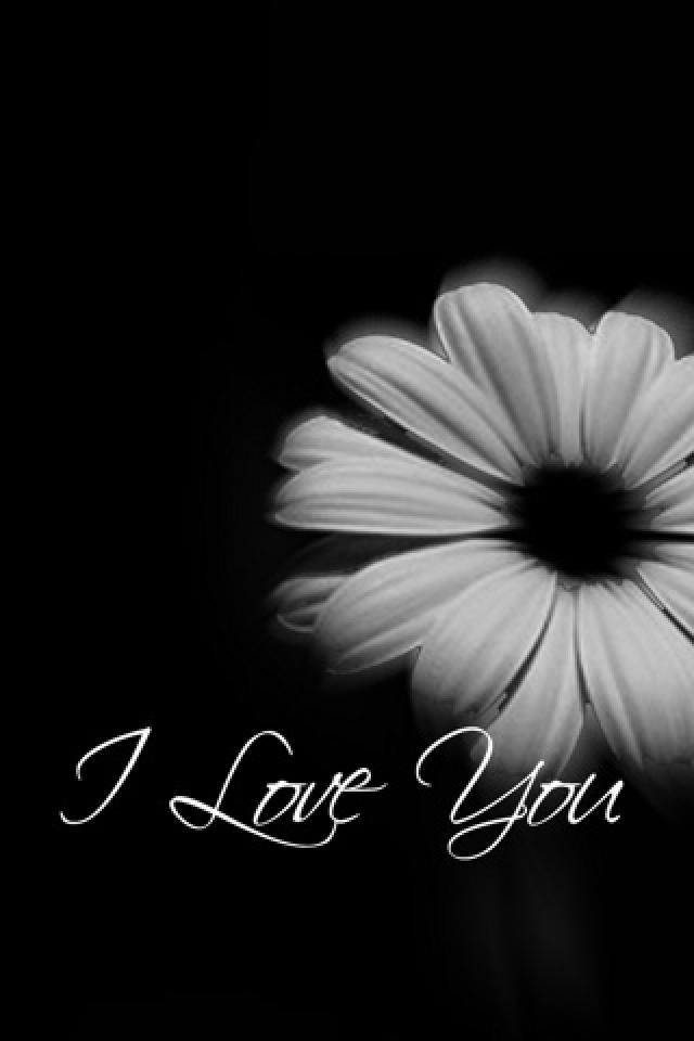 I Love You Wallpaper For Iphone - Love You Wallpaper Hd For Iphone , HD Wallpaper & Backgrounds