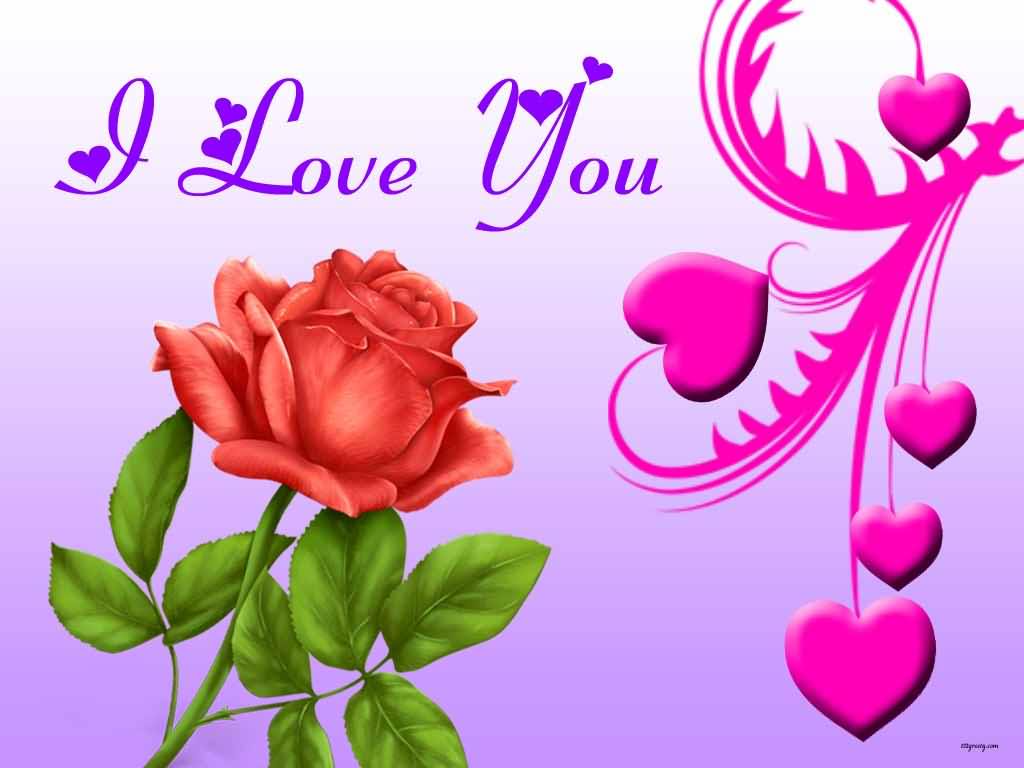 I Love You - Rose I Love You , HD Wallpaper & Backgrounds