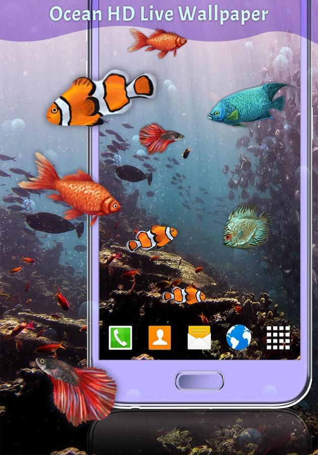 Ocean Fish Hd Live Wallpaper For Android - Marine Biology , HD Wallpaper & Backgrounds