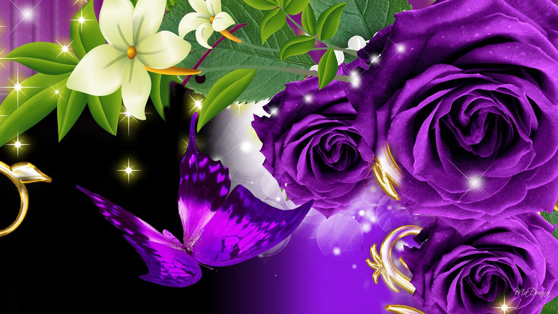 Background Purple Roses , HD Wallpaper & Backgrounds