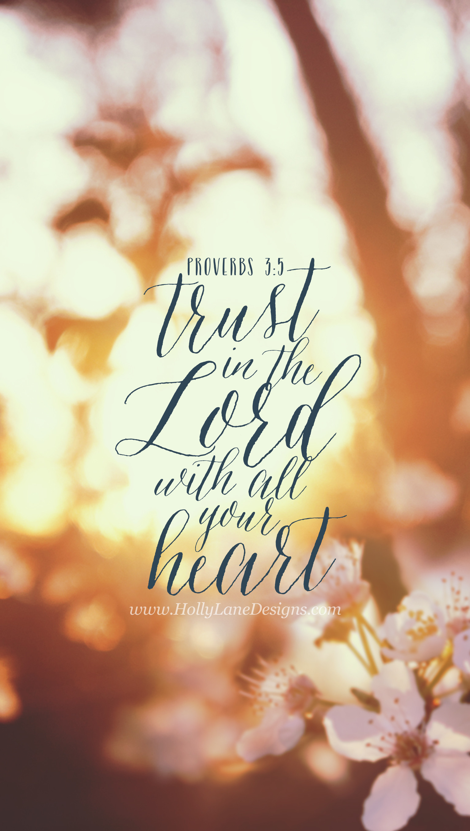 Bible Verse Wallpaper - Proverbs 3 5 Background , HD Wallpaper & Backgrounds