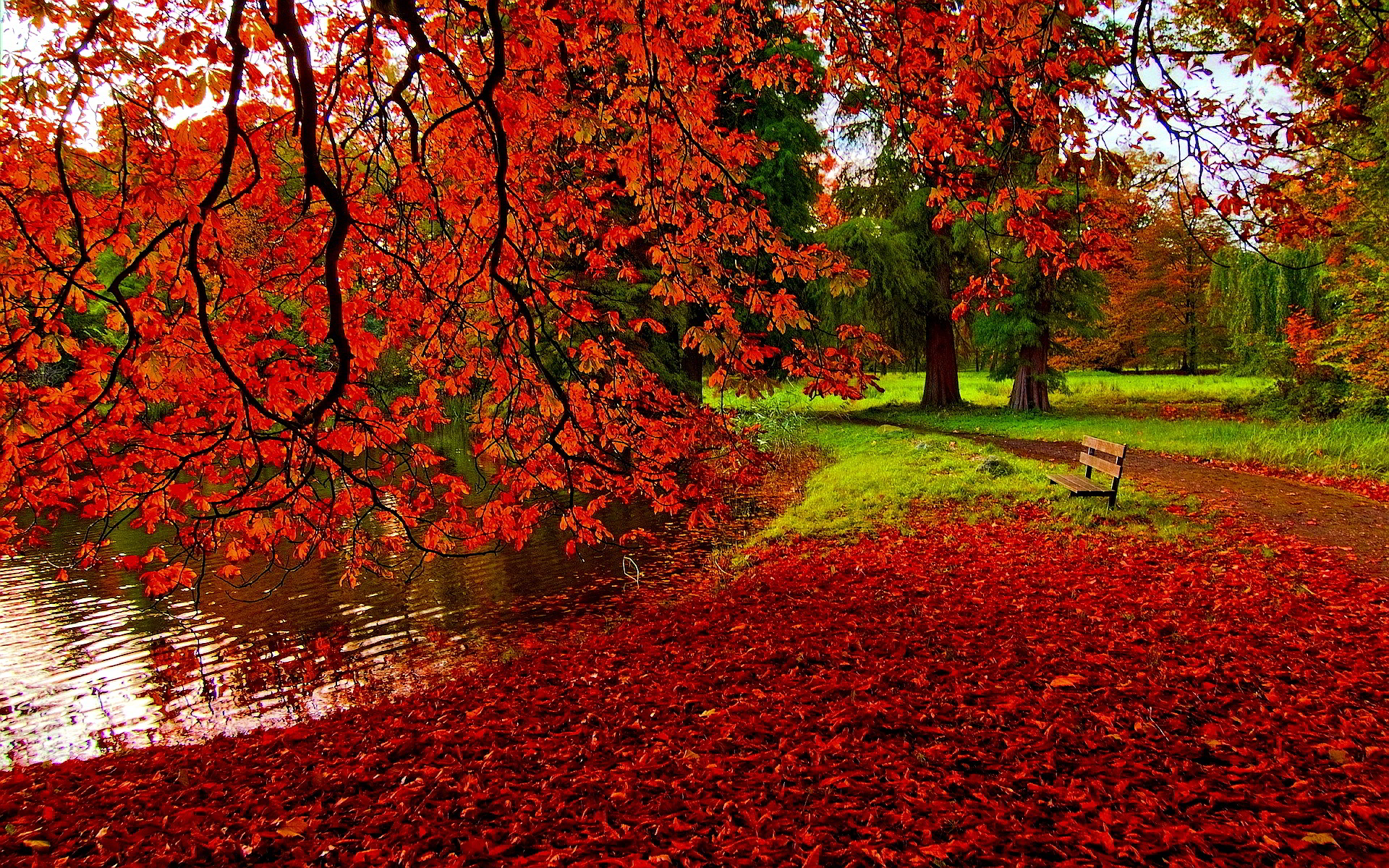 Romantic Autumn Hd Desktop Wallpaper - Romantic Nature Background Hd , HD Wallpaper & Backgrounds