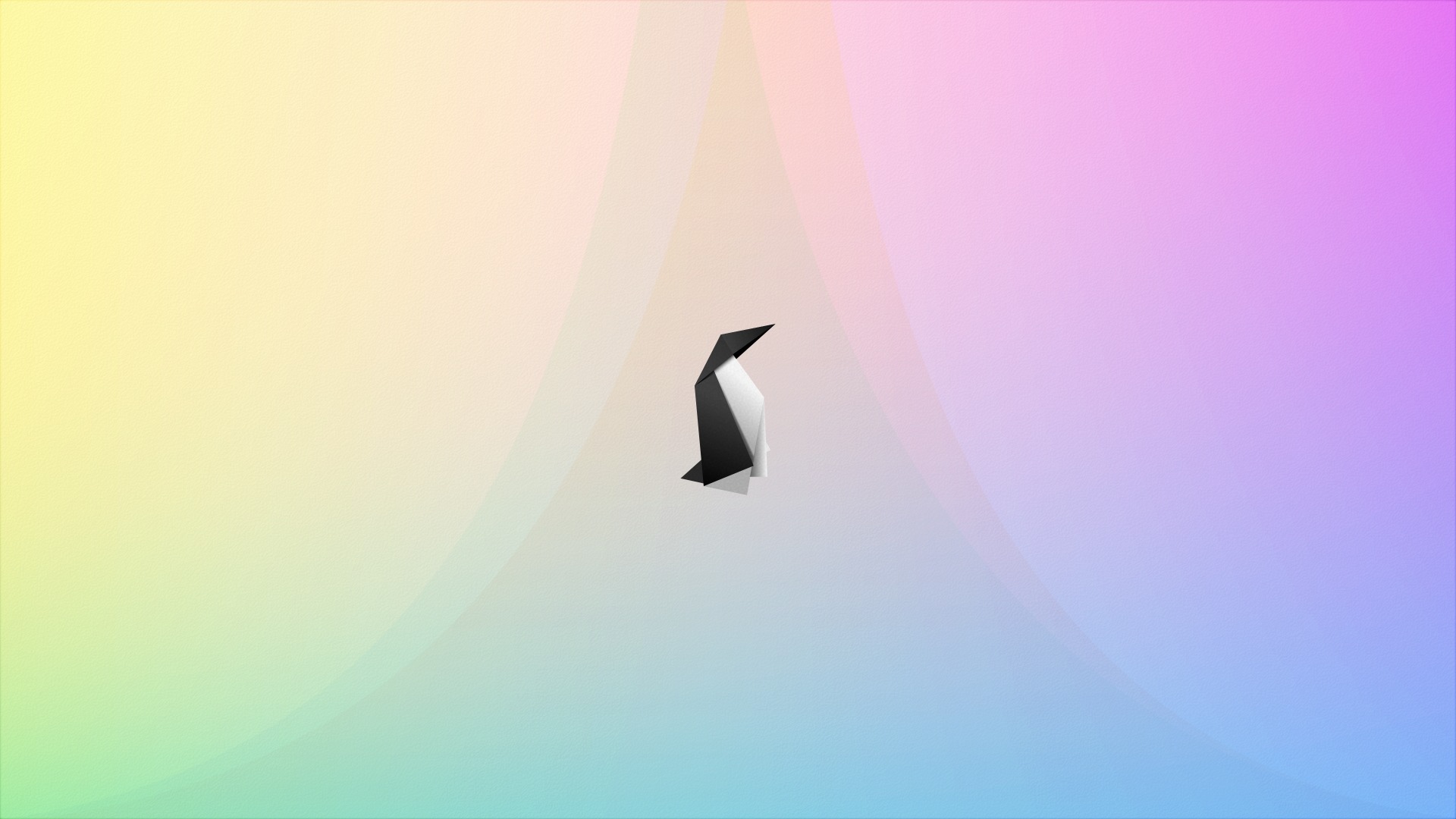 Score 50% - Seabird , HD Wallpaper & Backgrounds