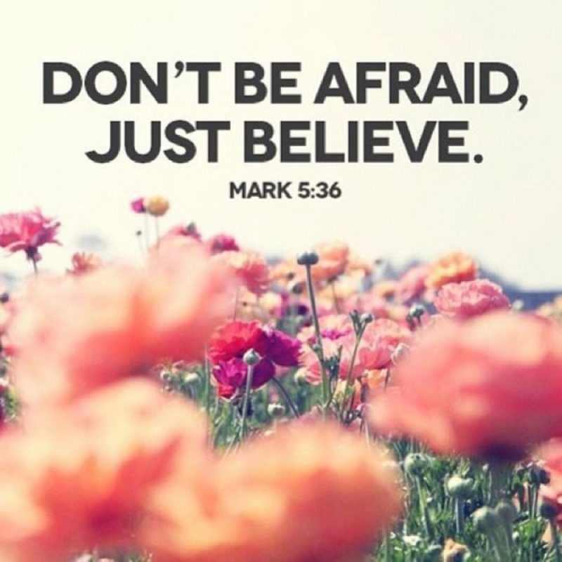 10 Latest Bible Verses Wallpapers Free Download Full - Dont Be Afraid Just Believe , HD Wallpaper & Backgrounds