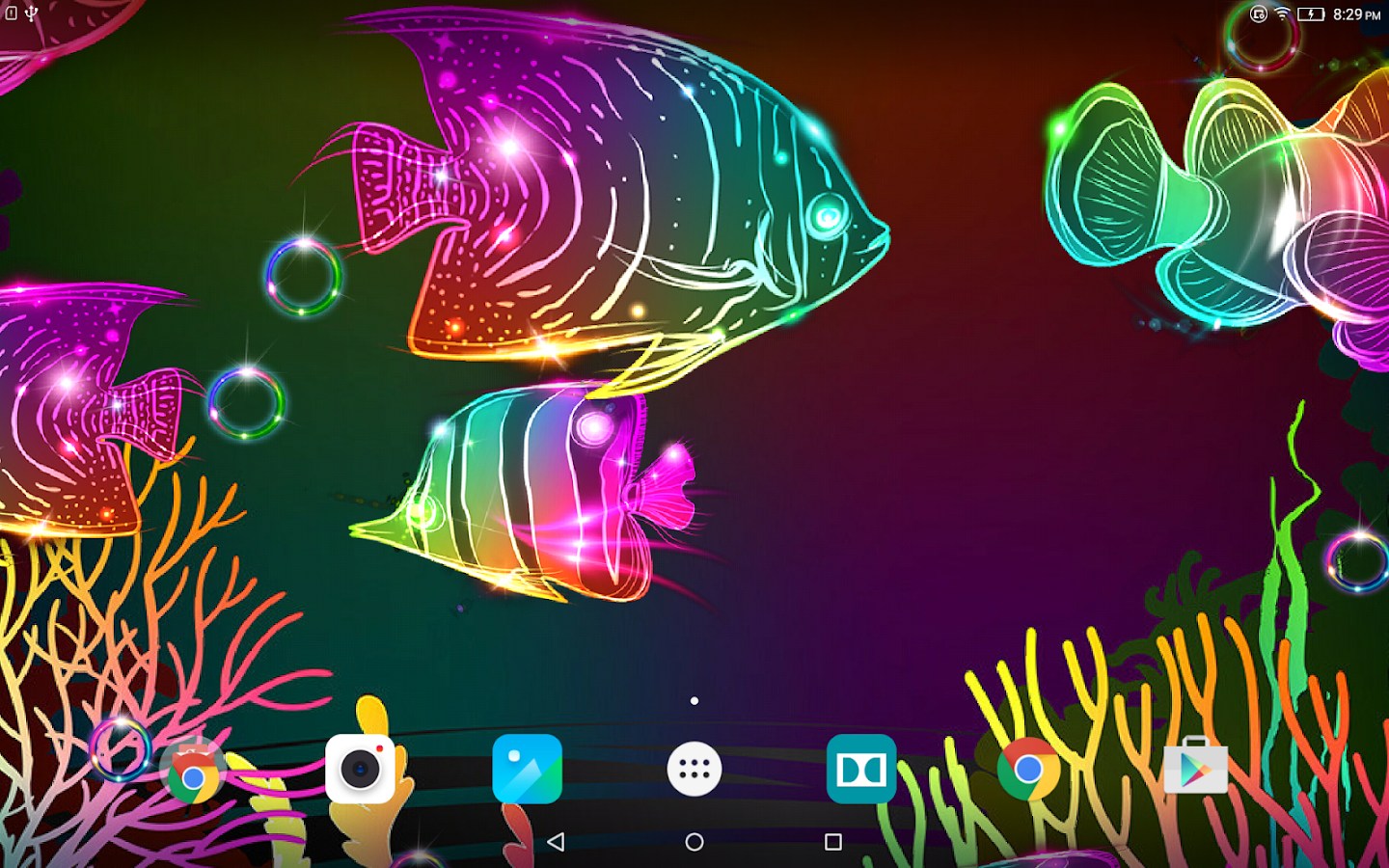 Hd - Neon Fish , HD Wallpaper & Backgrounds