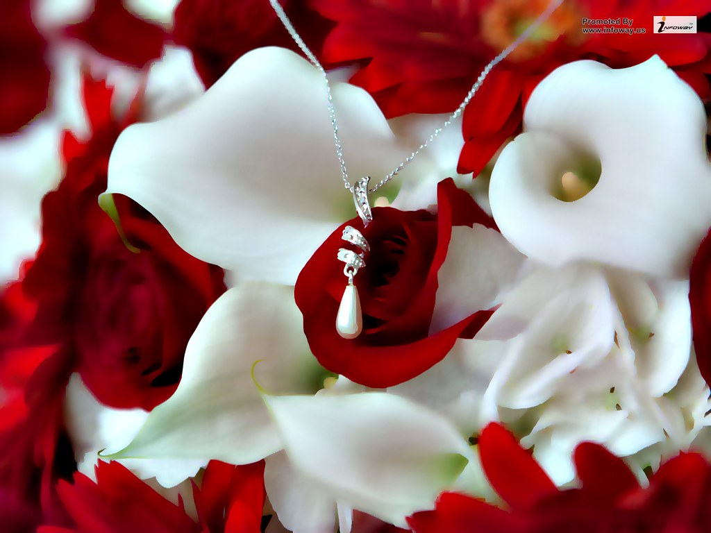 Sweet Heart Locket Hd Red Rose Wallpaper - Flower Rose Images Hd , HD Wallpaper & Backgrounds