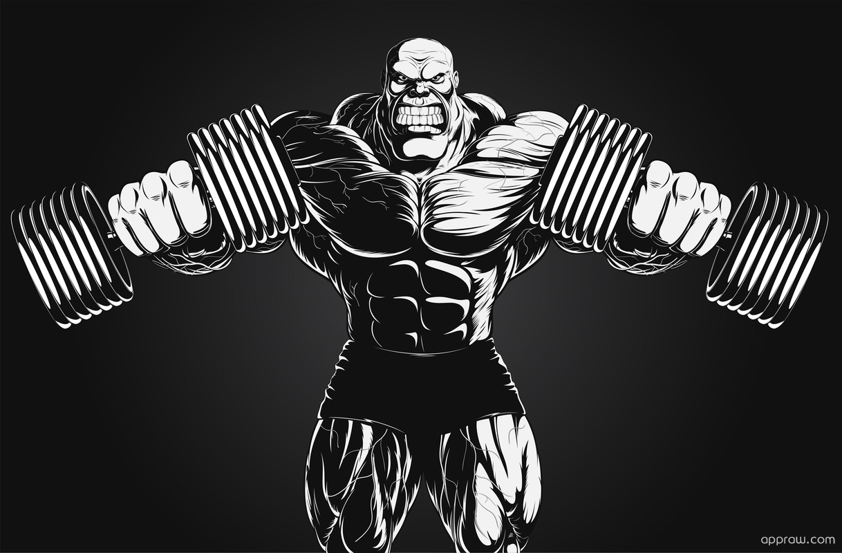 Bodybuilding Illustration - 3d Gym Wall Art , HD Wallpaper & Backgrounds