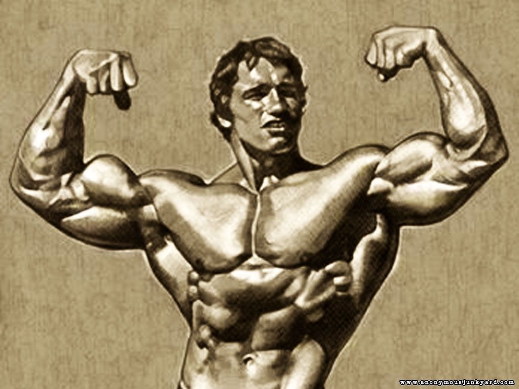 Gallery Of Arnold Bodybuilding Pictures Wallpapers - Arnold Schwarzenegger Bodybuilding Career Timeline , HD Wallpaper & Backgrounds