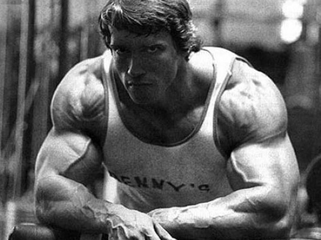 Arnold Schwarzenegger Bodybuilding Wallpaper - Arnold Schwarzenegger , HD Wallpaper & Backgrounds