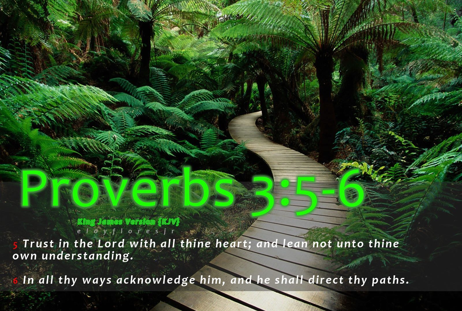 Bible Verses Wallpapers Free Download - Nature , HD Wallpaper & Backgrounds