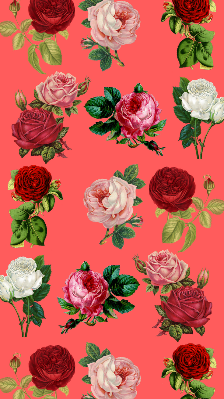 Red Roses Iphone 8 Wallpaper - Iphone 7 Spring Cute , HD Wallpaper & Backgrounds